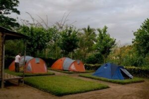 Three small tents are pitched on carefully trimmed square patches of green lawn. A man stands next to one of the tents.
