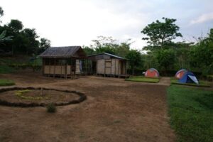 Three dome tents are pitched on a green lawn next to two small bamboo huts.