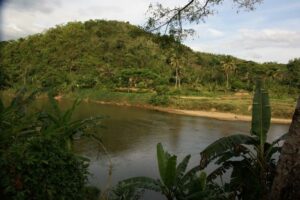 Looking across a wide river to a sandy shore with palm trees and a hill behind.